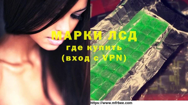 гидра Нея