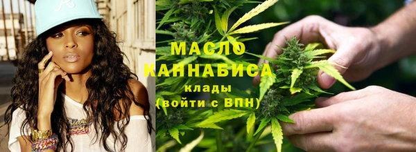 прущие грибы Апатиты