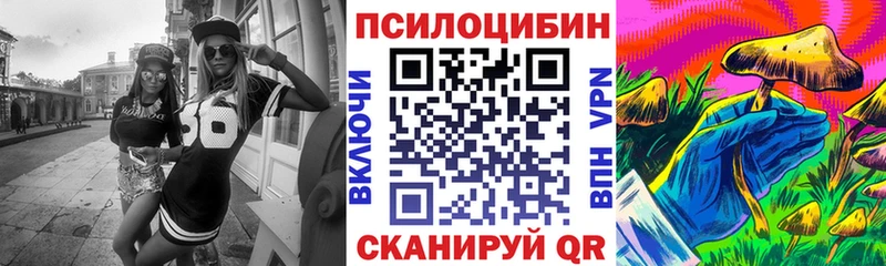 Псилоцибиновые грибы Psilocybe  Анжеро-Судженск 