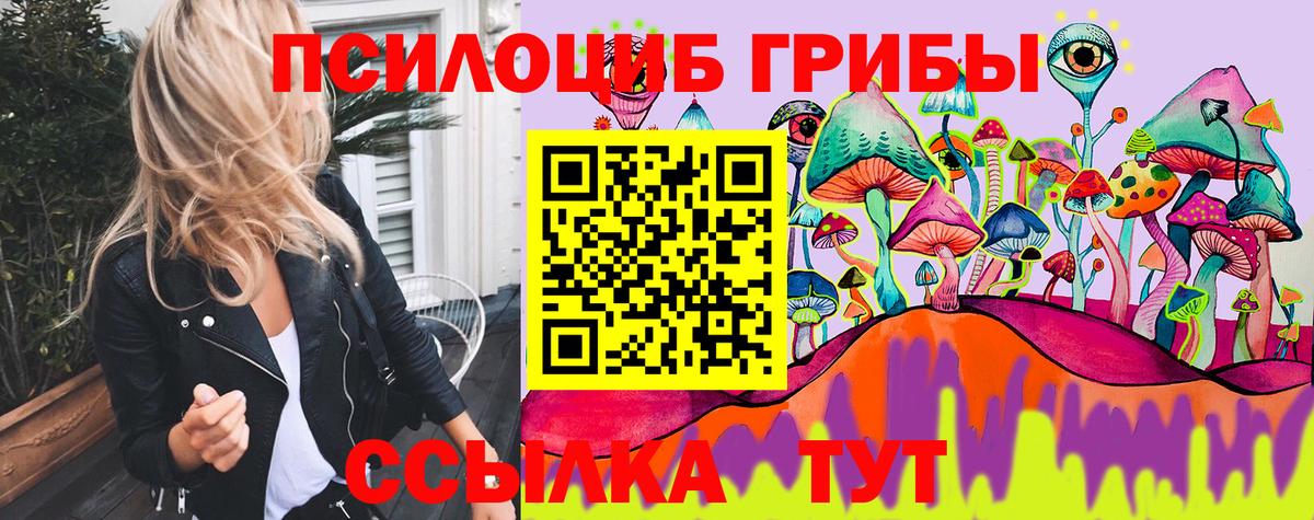 Анжеро-Судженск  как найти наркотики  Псилоцибиновые грибы MAGIC MUSHROOMS  Вход с VPN  Галлюциногенные грибы Cubensis 